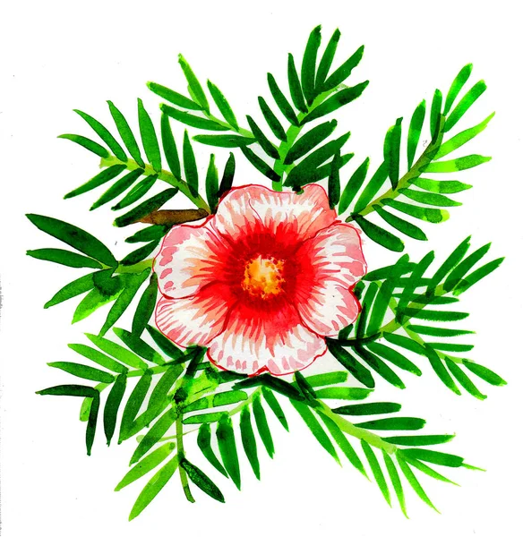 Fiore Rosa Pittura Acquerello — Foto Stock