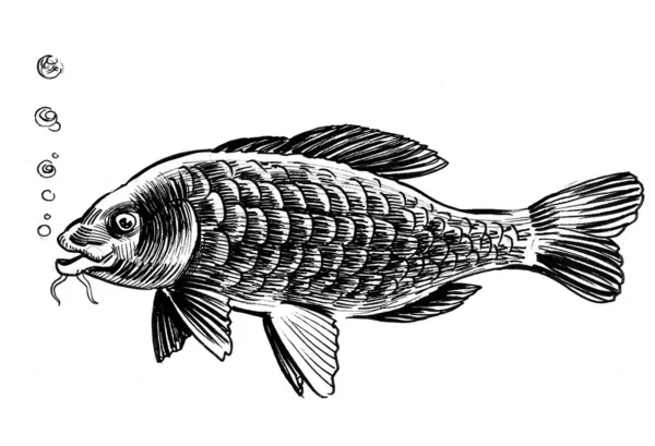 Свежая Рыба Чернила Черно Белые — стоковое фото