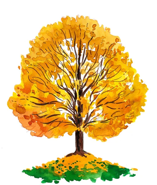 Żółte Jesienne Drzewo Rysunek Atramentu Akwareli — Zdjęcie stockowe