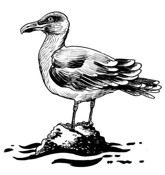 Oiseau Mouette Sur Rocher Encre Dessin Noir Blanc — Photo