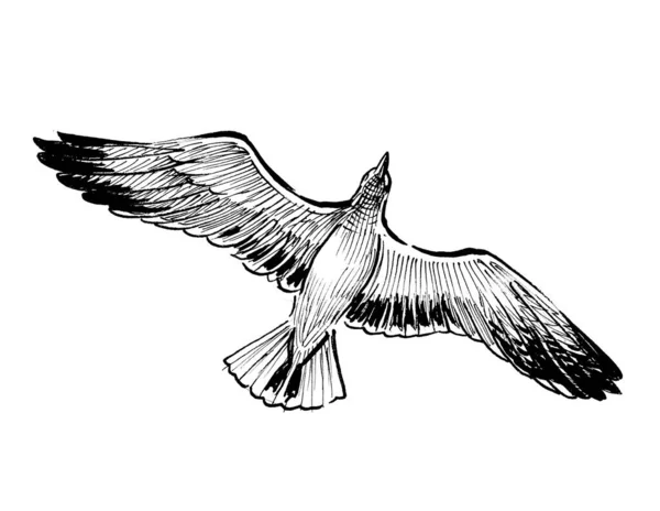 Flying Seagull Ink Black White Drawing — Stock Photo, Image