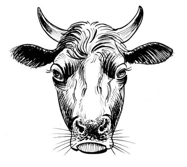 İnek kafası. Mürekkep siyah beyaz çizim