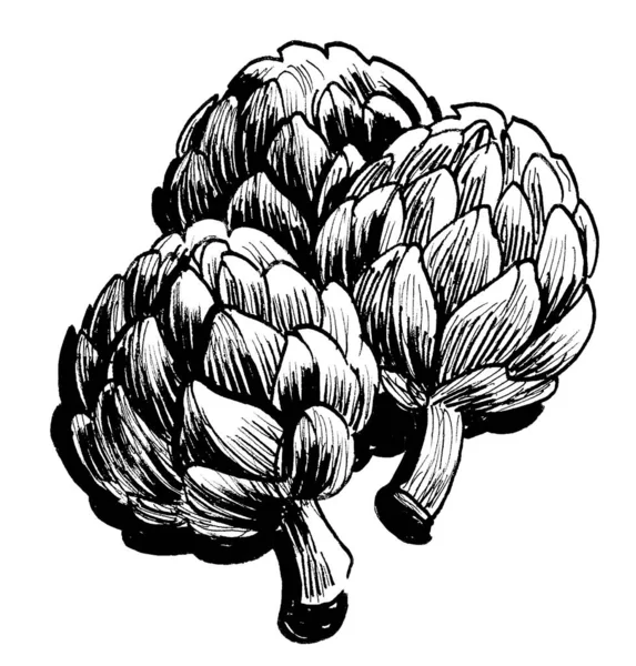 Artichoke Vegetables Ink Black White Drawing — Stock Photo, Image