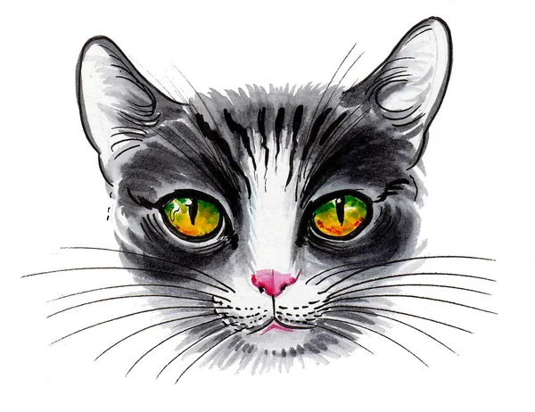 Lindo Gato Con Ojos Verdes Dibujo Tinta Acuarela — Foto de Stock