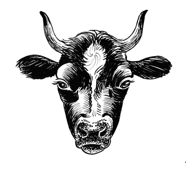Bull head. Ink black and white drawing