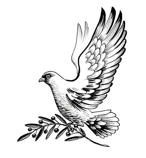 Flying Dove Olive Branch Ink Black White Drawing — Stock Photo, Image