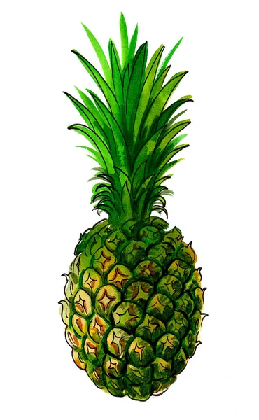 Ananas Fondo Bianco Inchiostro Acquerello Disegno — Foto Stock