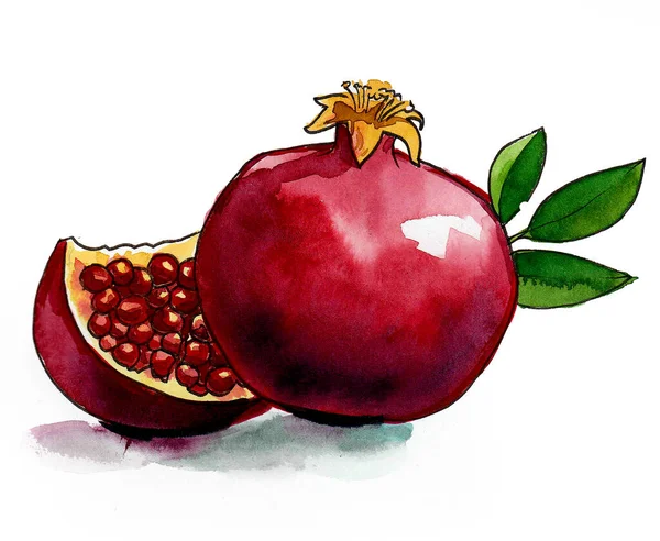 Granaatappels Inkt Aquareltekening — Stockfoto