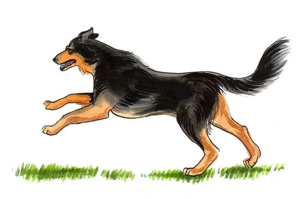 Running Dog Ink Watercolor Drawing — Stock Photo, Image