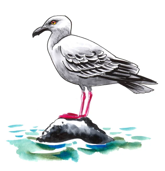 Seagull Bird Sitting Rock Ink Watercolor Drawing — Stock Photo, Image