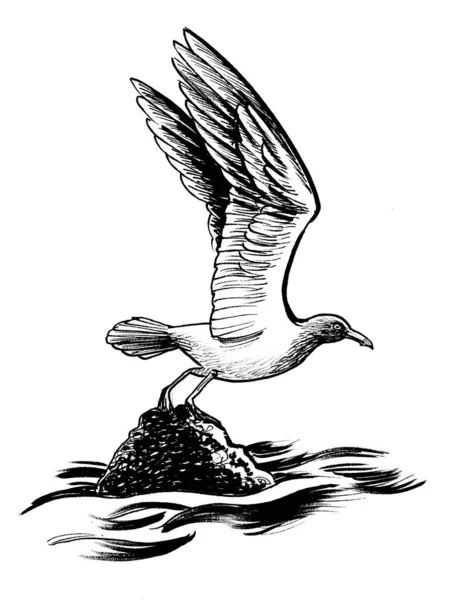 Mewa Skale Czarno Biały Rysunek Atramentu — Zdjęcie stockowe