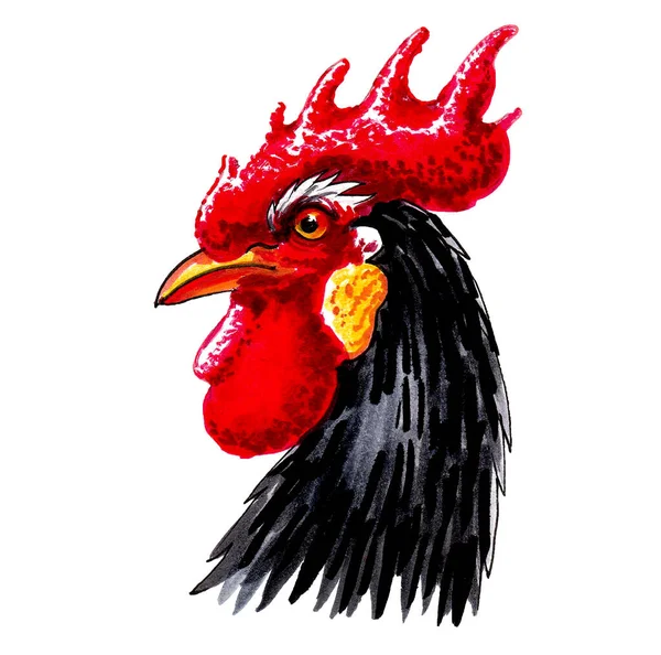 鶏の頭だ 墨と白のドローイング — ストック写真