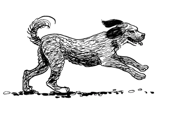 Бегущая Собака Чернила Черно Белые — стоковое фото