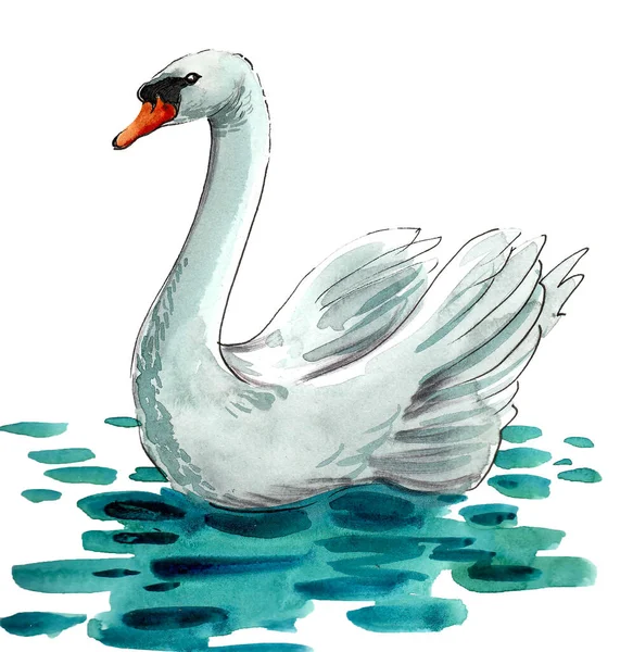 Cisne Branco Nadando Água Desenho Tinta Aquarela — Fotografia de Stock