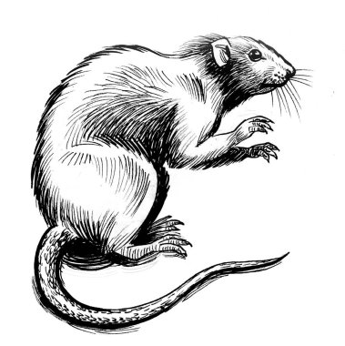 Fare hayvan. Mürekkep siyah beyaz çizim