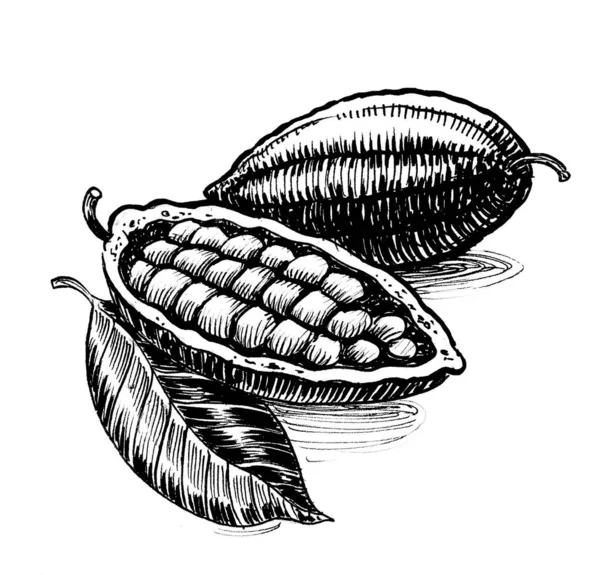 Cacao Beans Ink Black White Drawing — Stock Photo, Image