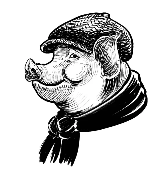 Pig Hat Scarf Ink Black White Drawing — Stock Photo, Image