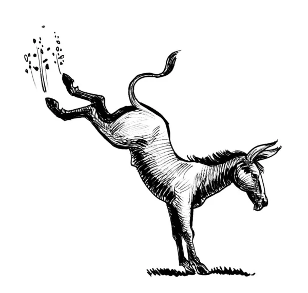 Kicking Donkey Ink Black White Drawing — Stock Photo, Image