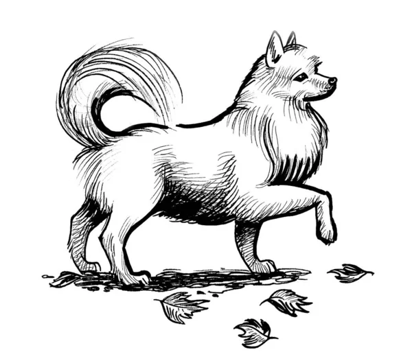 Stojący Pies Czarno Biały Rysunek Atramentu — Zdjęcie stockowe