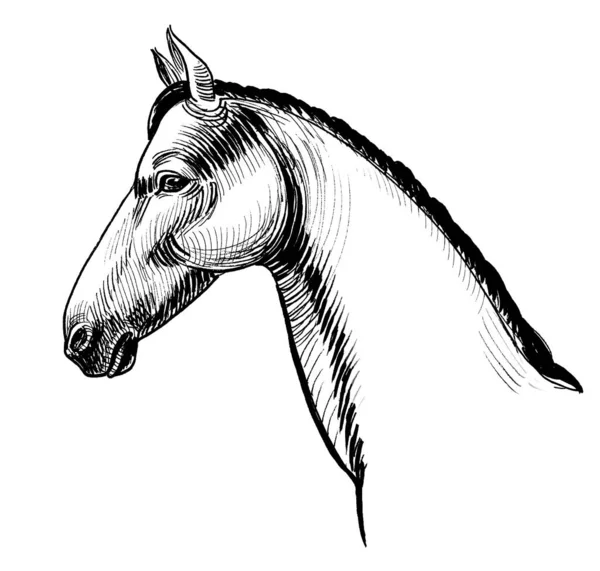 Piękna Głowa Konia Czarno Biały Rysunek Atramentu — Zdjęcie stockowe