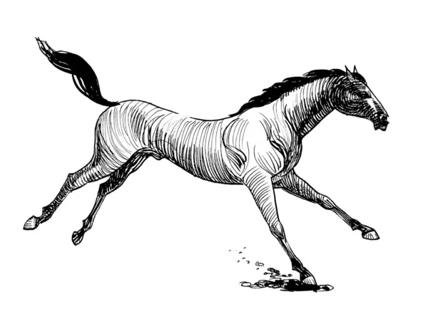 Beautiful Running Horse Ink Black White Drawing — Stock Photo, Image