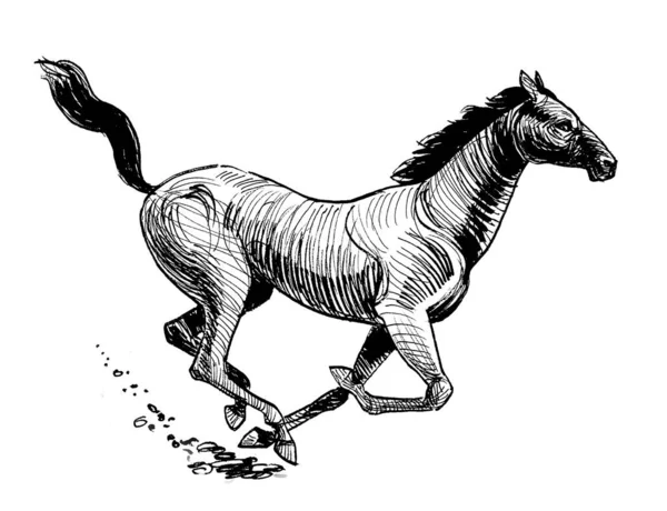 Galopowanie Dzikiego Konia Czarno Biały Rysunek Atramentu — Zdjęcie stockowe