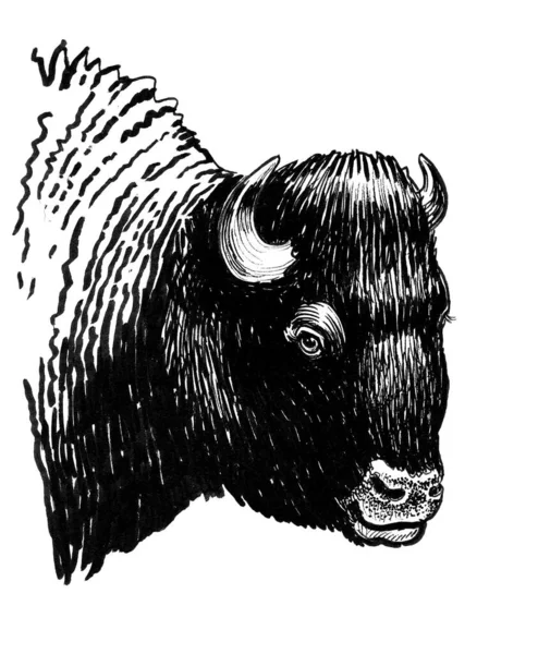 Cabeza Bisonte Negro Dibujo Blanco Negro Tinta — Foto de Stock