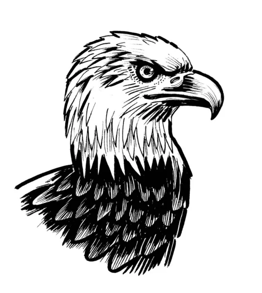 Cabeza Águila Calva Dibujo Blanco Negro Tinta — Foto de Stock