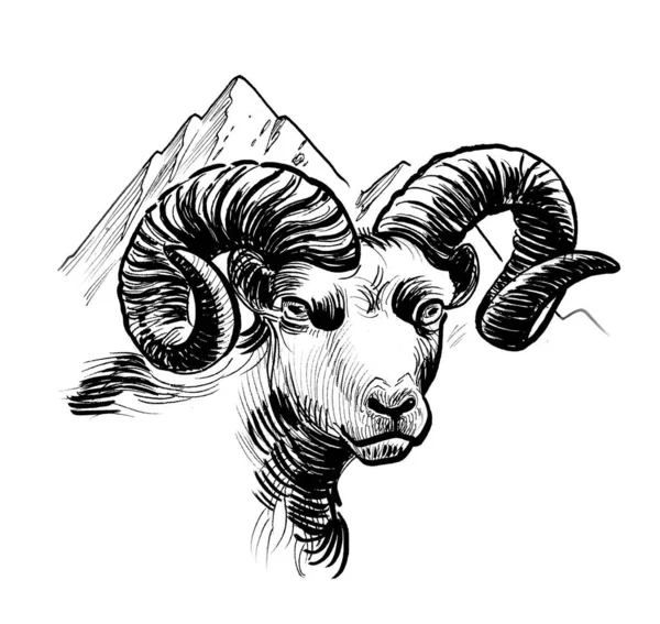 野生公羊的头和山顶 墨水黑白画 — 图库照片