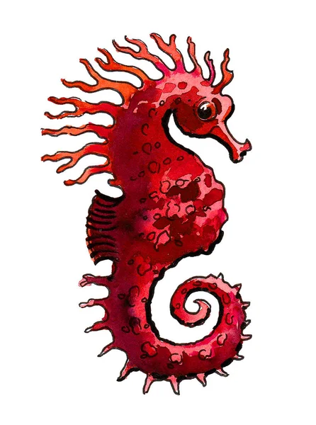 Red Seahorse Fish Ink Watercolor Drawing — Stock Photo, Image