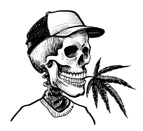 Emberi Csontváz Egy Kannabiszlevéllel Tinta Fekete Fehér Rajz — Stock Fotó