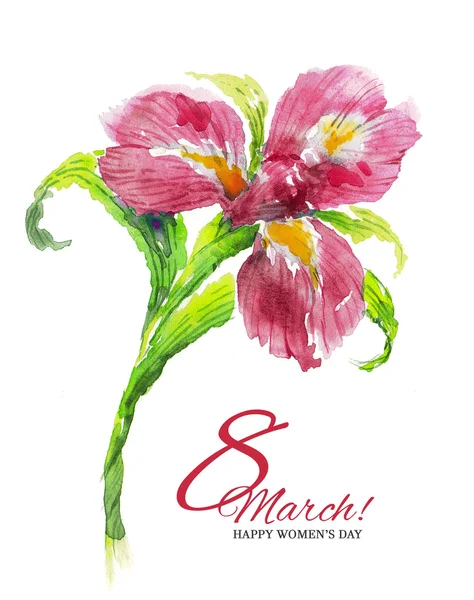 Tarjeta de felicitación acuarela 8 Marzo con flor de iris rojo — Foto de Stock