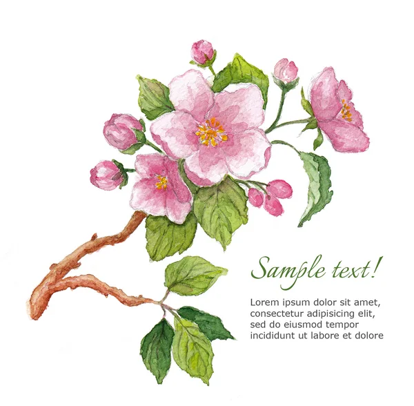 Modello per biglietto di auguri con fiori di ciliegio acquerello — Foto Stock