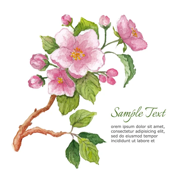 Modelo para cartão de saudação com flores de cereja aquarela —  Vetores de Stock
