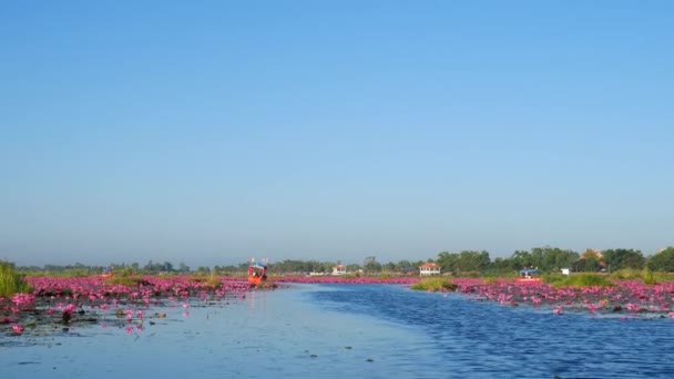 船行到红莲花，泰国 Udon Thani 的海 — 图库视频影像