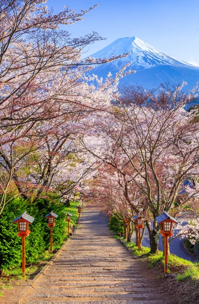 Chemin du Mont. Fuji au printemps, Fujiyoshida, Japon — Photo