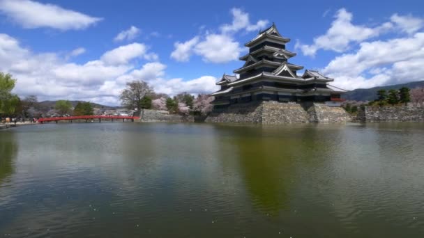 Vista panorámica del castillo de Matsumoto en primavera, Nagano, Japón — Vídeo de stock