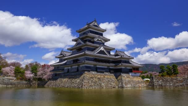 4K Timelapse of Matsumoto castle in весенний сезон, Nagano, Japan — стоковое видео