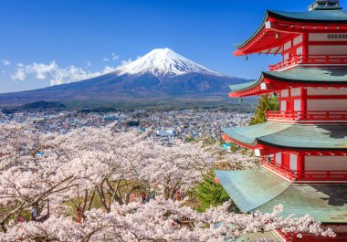 Mt. Fuji ile Chureito Pagoda, Fujiyoshida, Japonya 