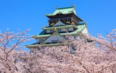 Osaka Kalesi, osaka, Japonya