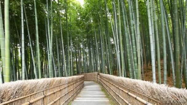 Pohled z bambusových lesů, Arashiyama, Kjóto, Japonsko-nakloněná rovina