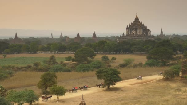 Il vagone nella piana di Bagan al tramonto, Bagan, Myanmar — Video Stock