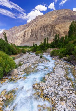 Turtuk Köyü, Diskit, Jammu and Kashmir, güzel nehir içinde