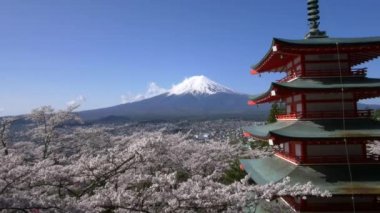Mt. Fuji ile Chureito Pagoda Bahar, Fujiyoshida, Japonya