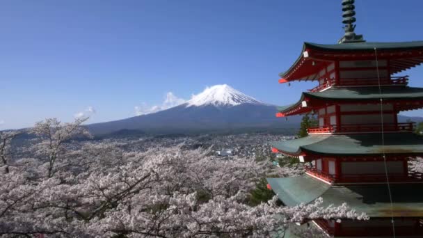 Гора. Фудзи с Курейто Пагодой весной, Фудзиёсида, Япония — стоковое видео