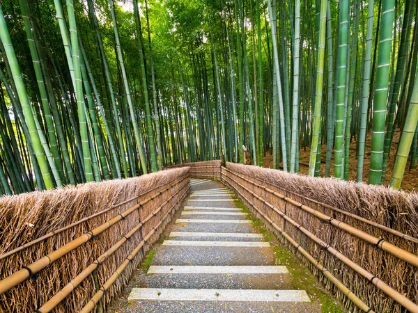 Caminho para a floresta de bambu, Arashiyama, Kyoto, Japa — Fotografia de Stock