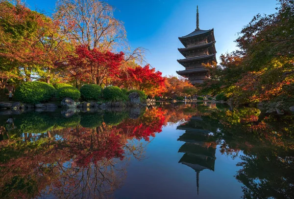 Pagoda Kayu Dari Kuil Toji Dengan Daun Maple Yang Indah — Stok Foto