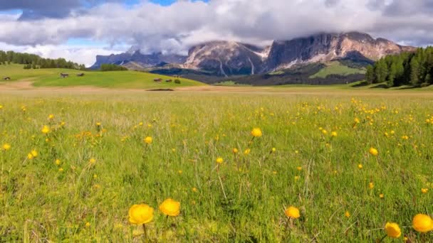 Time Lapse Rolling Clouds Langkofel View Seiser Alm Dolomites Italy — Stock Video