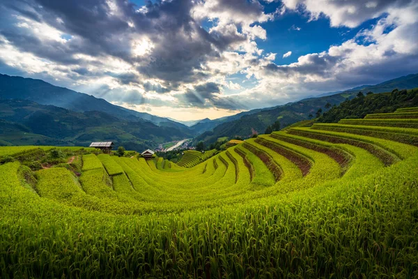 Sunset Terraced Rice Fields Cang Chai Yen Bai Vietnam — 스톡 사진