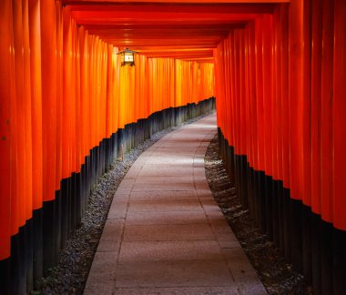Fushimi Inari Tapınağı 'ndaki Torii kapıları, Kyoto, Japonya